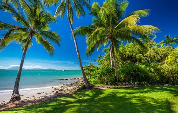 Beauty Tiny Walk To Sea Villa Port Douglas Eksteriør bilde